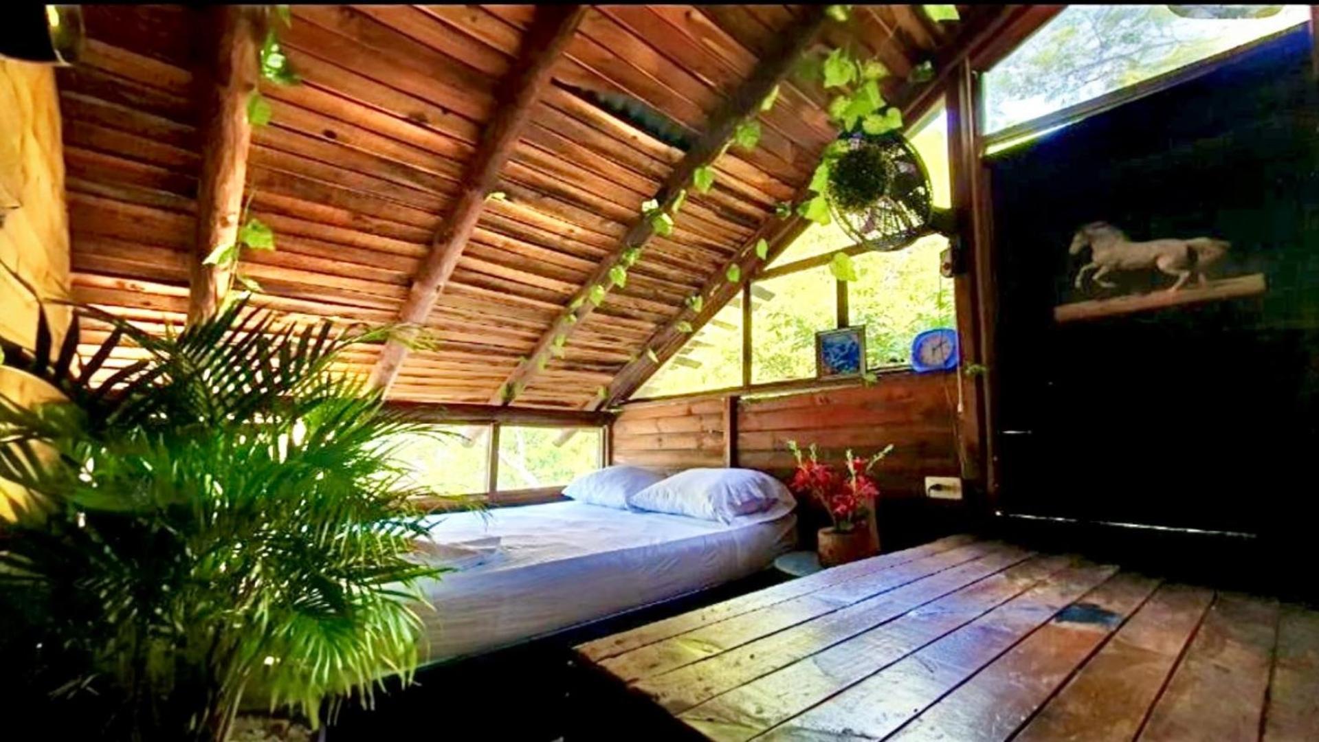 Tamarindo Beach Hostel Таганга Экстерьер фото